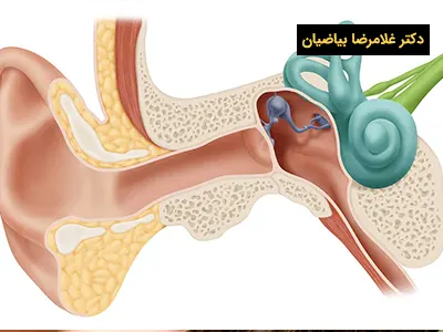 دلایل ابتلا به سرطان گوش